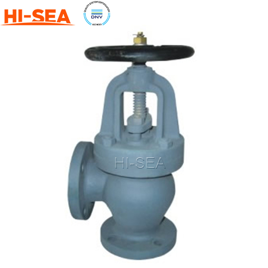 Globe Angle Valve